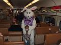 Easter_Bunny_2006